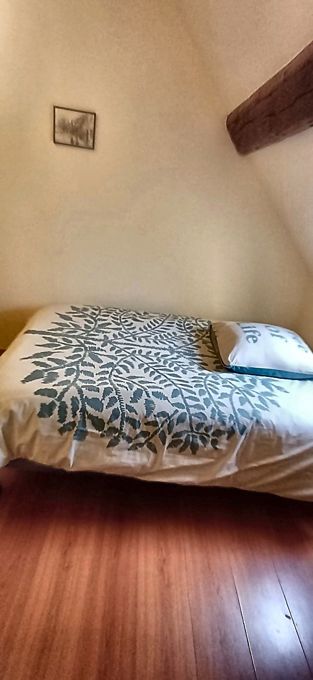 Parure de lit 'Tree of Life' et oreiller tout confort
